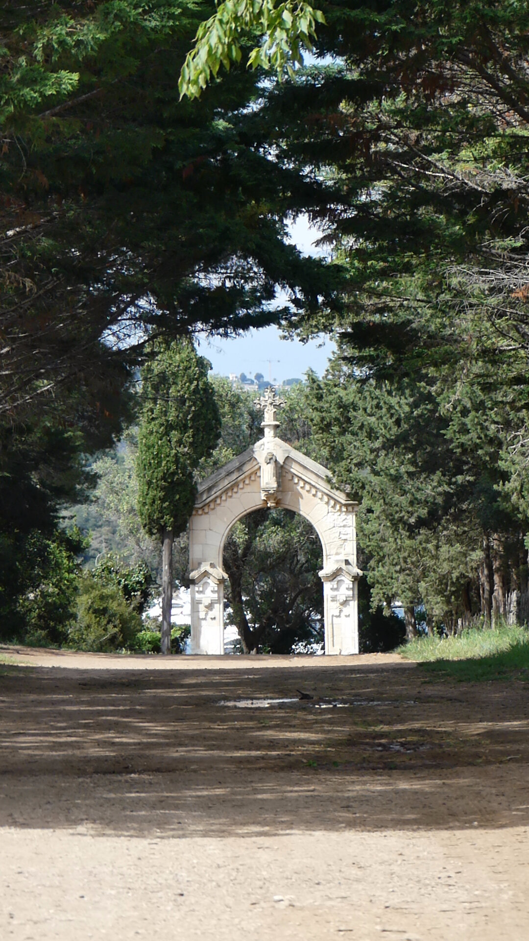 P1010541 - Copie