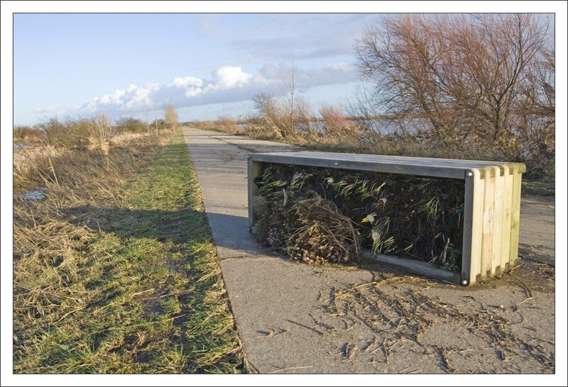 Aiguillon inondation chemin jardiniere GP 280210