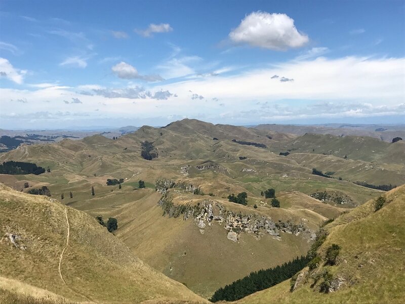 Te Mata peak 2