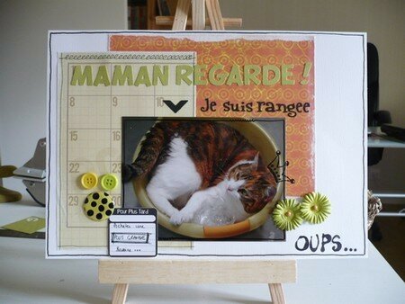 appel_de_pages_juin_animaux