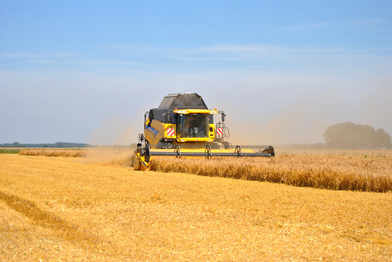 baromesnil moisson ledoux 16-07-2019 001 (35)