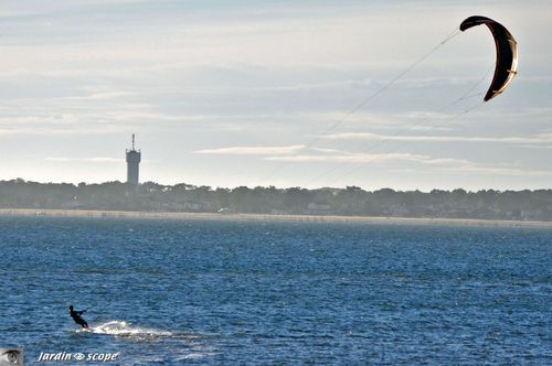 Kytesurf en Arcachon -Plage Pereire mi-novembre 2010