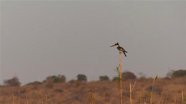 P1100978