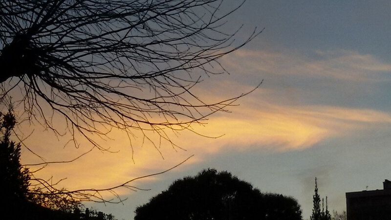 20190208_181551