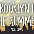Le clip du jour:<b>Brooklyn</b> in the summer - Aloe Blacc