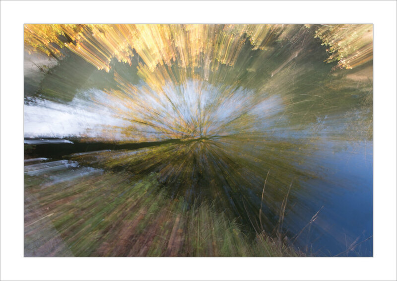Nature effet zoom 2 201120