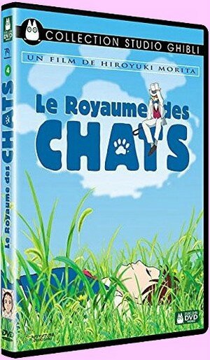 royaume chats