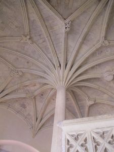 IMG_3469