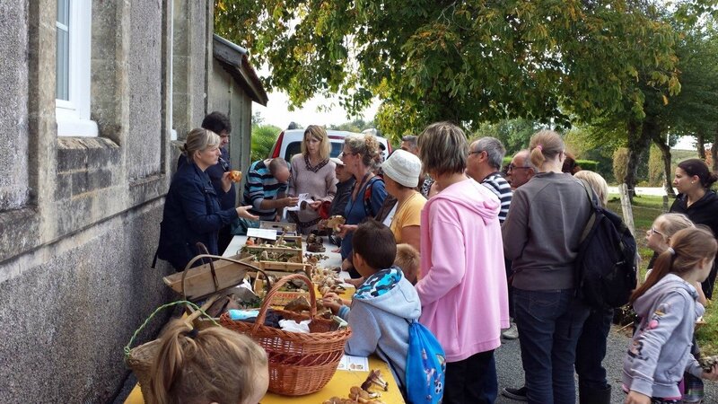 Sortie NATURE Forêt et champignons 18 octobre 2014 (24)