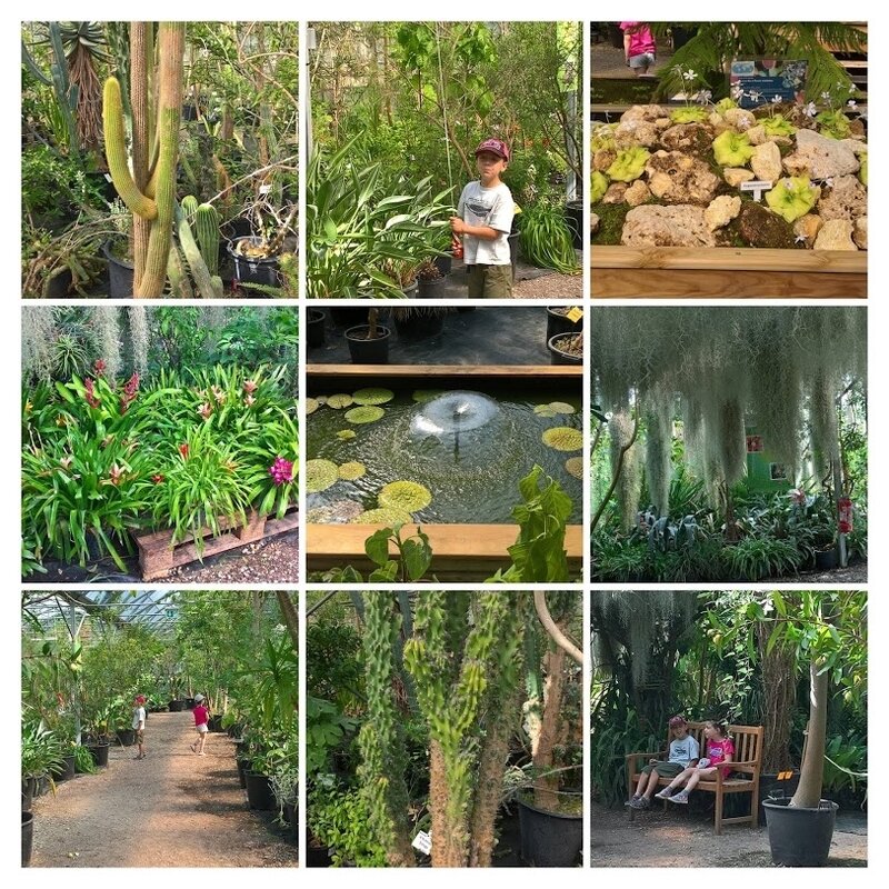 WP_20180710_11_16_16_Pro-COLLAGE