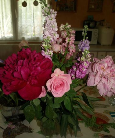 pivoines nat juin 2012 fete mères