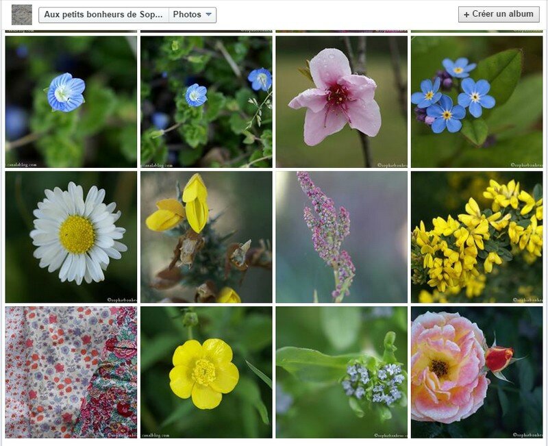 Flowfleurs2016 2