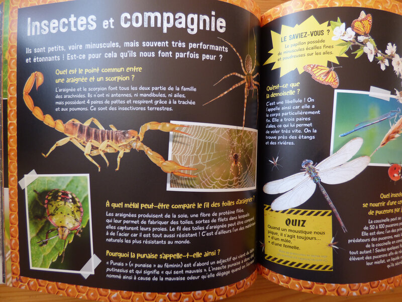 Le pourquoi comment des sciences (2)