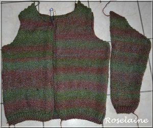Roselaine716 gilet tricot