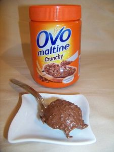 Crème à l’Ovomaltine recettes Carrés crunchy