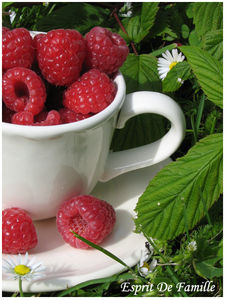 tasse_framboises