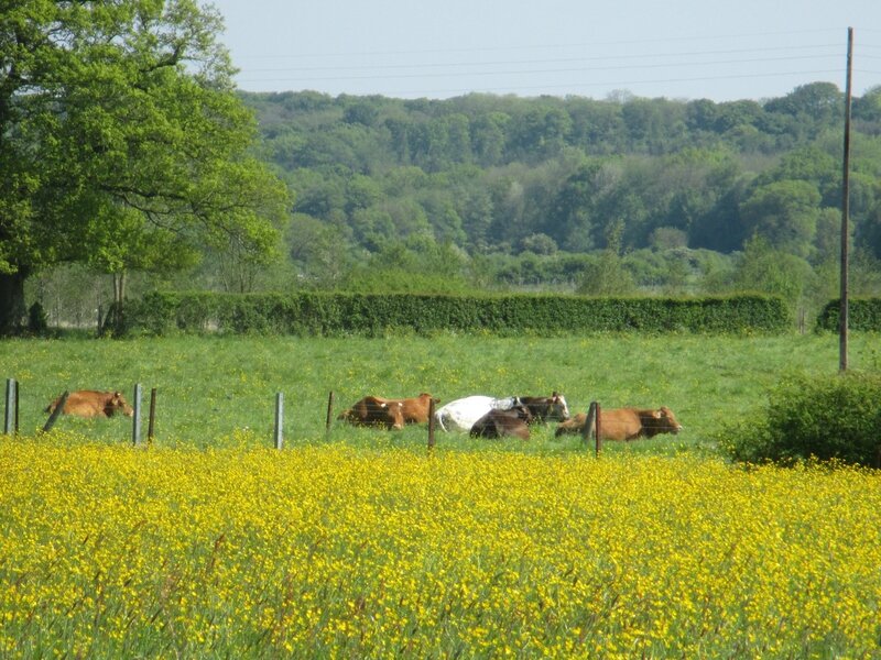 Moustier en Fagne 021