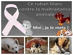 ruban blanc