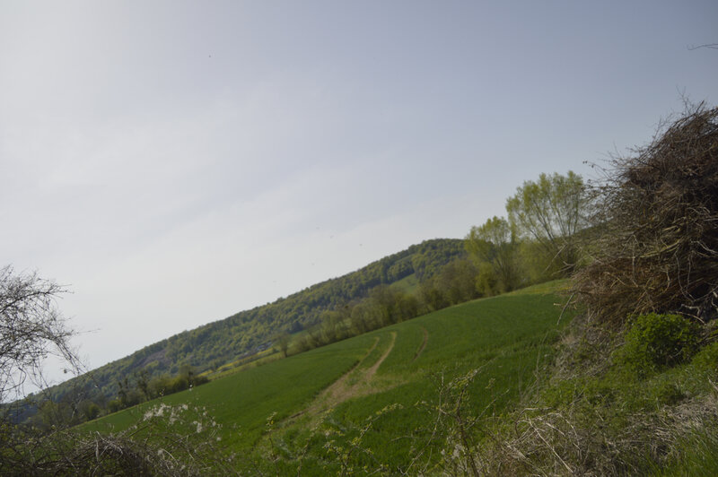 _DSC0091