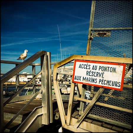 13_Marin_P_cheur