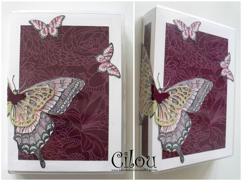 MINI ALBUM N°1 JANVIER 2015 photo 1 BLOG