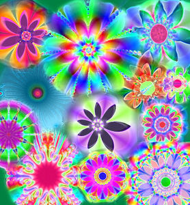 fractal_flowers