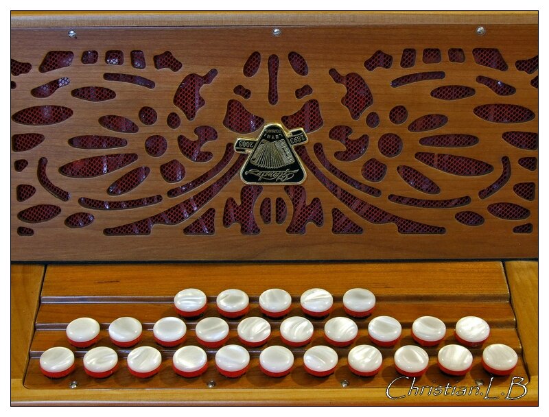 accordéon liliano