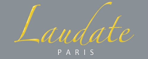 logo fond gris