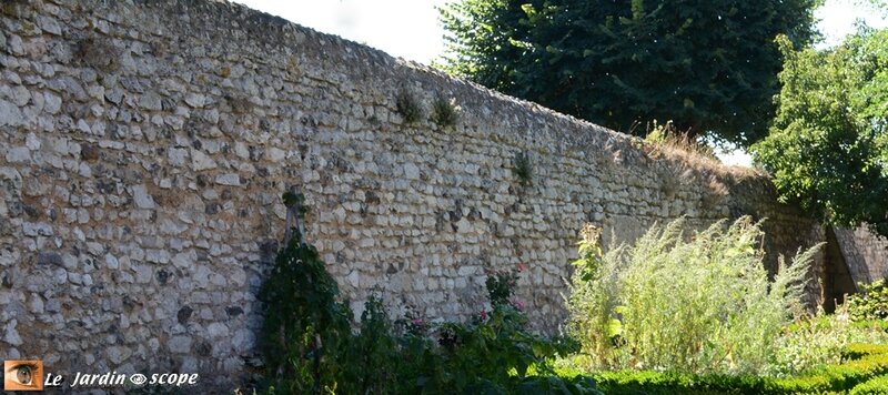 Mur-mitoyen-ou-non