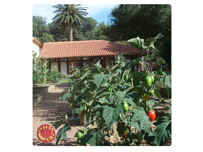 Galette de Viande recettes galette de poulet orientale