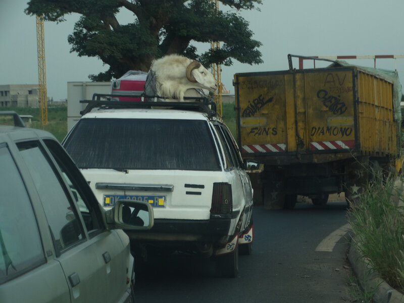 SENEGAL 114