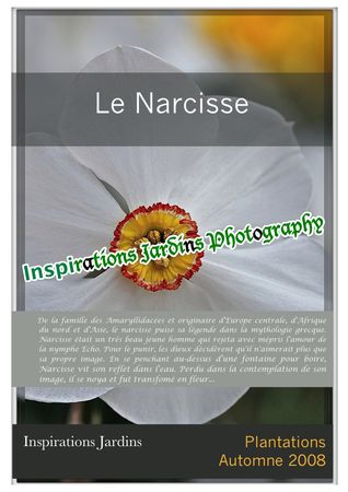 Narcisse_Acteawtmk