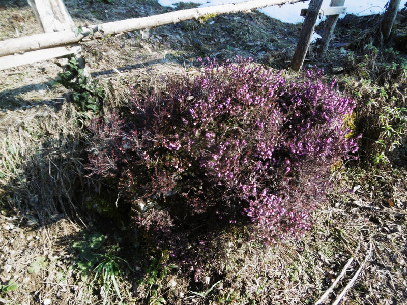 P1100283