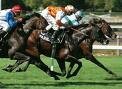 courses_de_chevaux