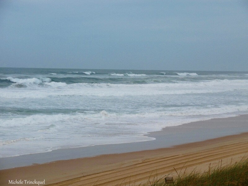 Plage de Vielle et Lette Blanche 091118