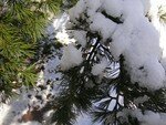 photo_blog_010