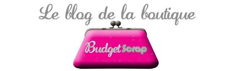 banniere blog budget scrap h300
