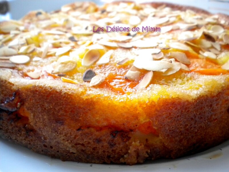 Gâteau moelleux aux abricots et amandes 3