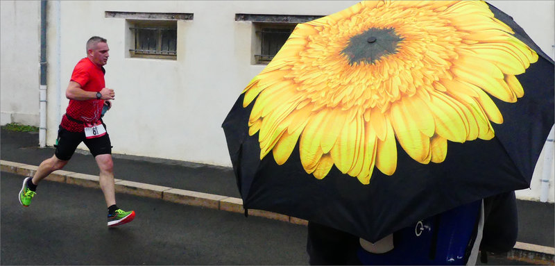 Course Boinot 011022 ym 18 parapluie tournesol