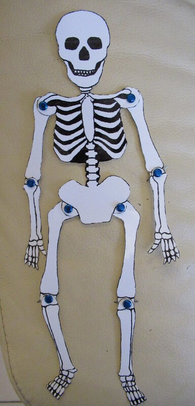 squelette, décoration halloween