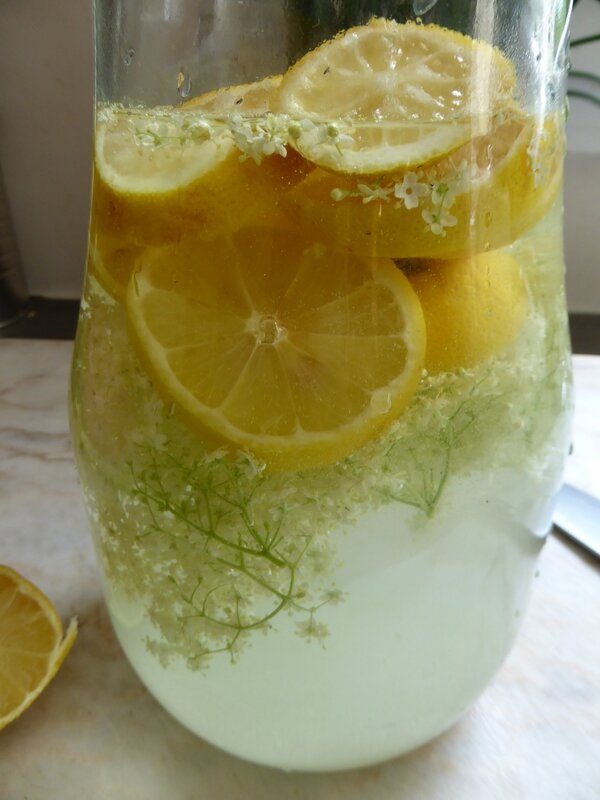 2-limonade de sureau (8)