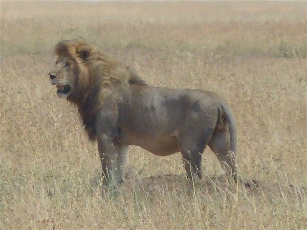P1140892