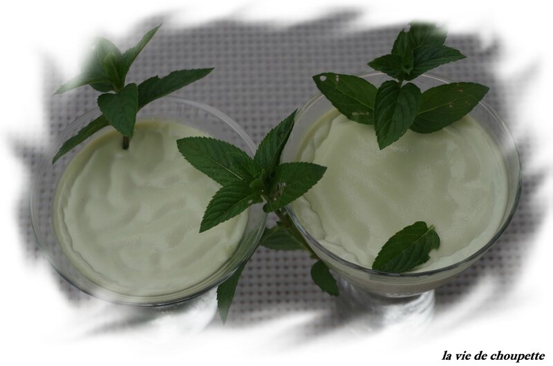 panna-cotta menthe-chocolat-18