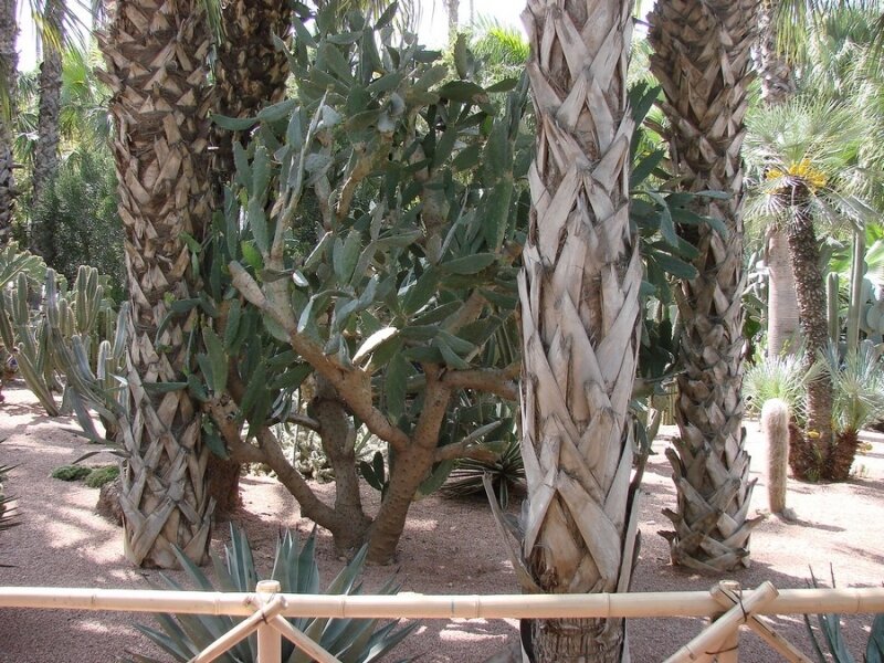 Les Jardins de Majorel