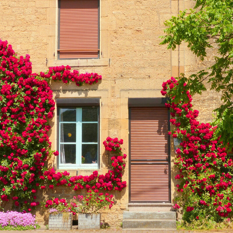 aaaaaa vasques et jardinières2-001