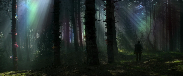 annihilation1
