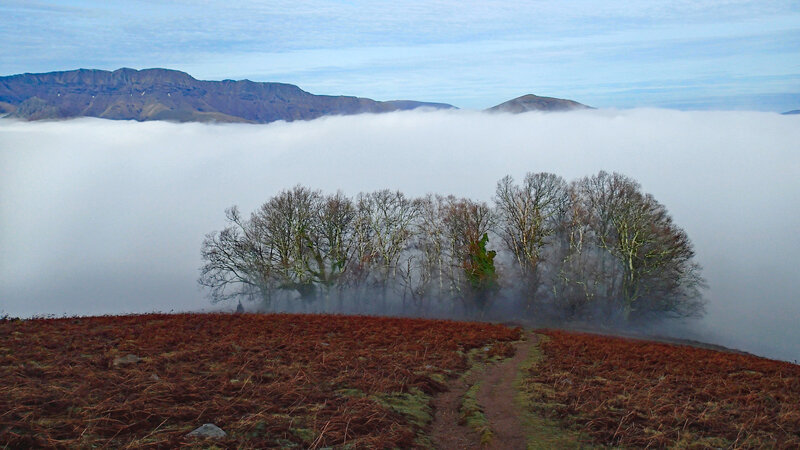 au bord du nuage