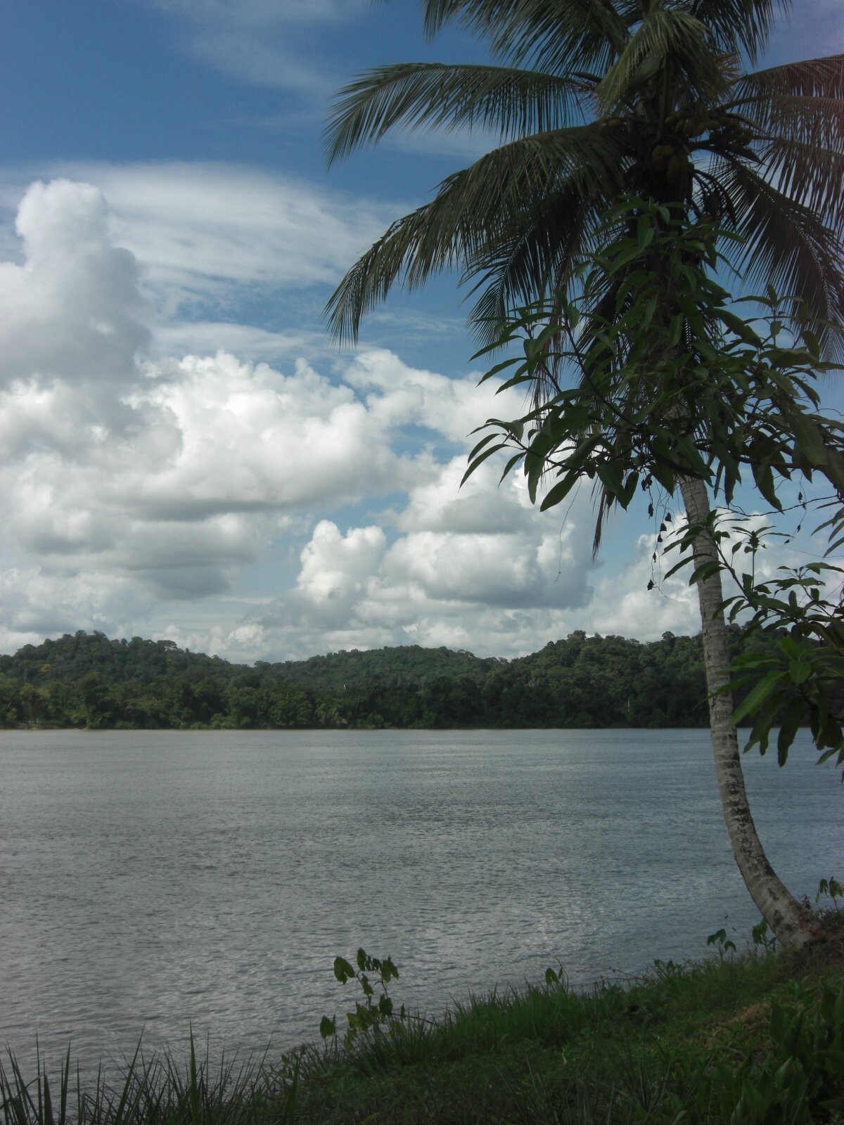 Excursion sur le Maroni