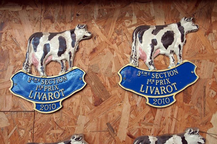 05 plaques2
