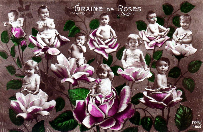 Graines de Poilus 74